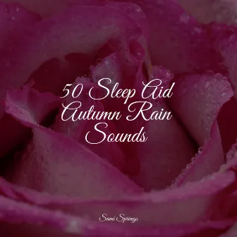 50 Sleep Aid Autumn Rain Sounds by Nature Chillout