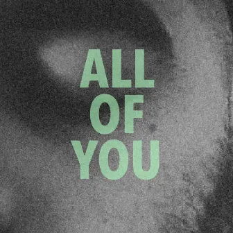 All Of You by Josh Record