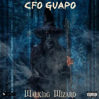 Walking Wizard by CFO Guapo