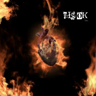 Tis OK by Terry3verson