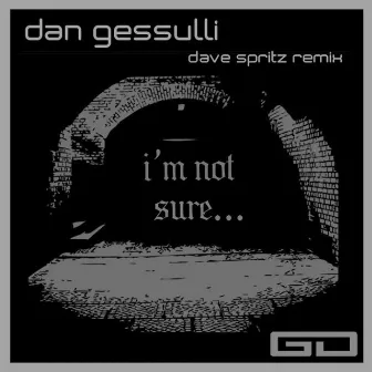 I'm Not Sure by Dan Gessulli