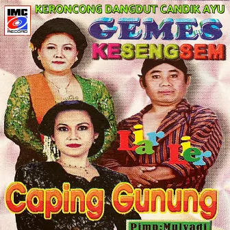 Keroncong Dangdut Candik Ayu (Versi Kaset) by Sri Rahayu