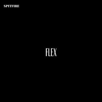 Flex by SpitFire