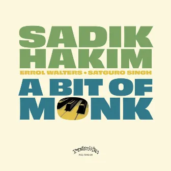 A Bit of Monk by Sadik Hakim