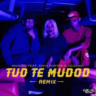 Tud te mudod by Nivaldo Lopes