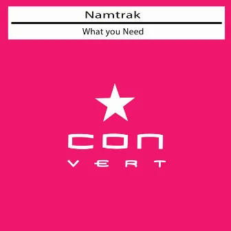 What You Need by Namtrak