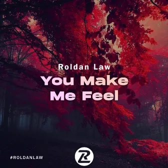 You Make Me Feel by Roldan Law