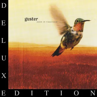 Keep It Together (10 Year Anniversary Edition) by Guster