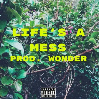 Life's a Mess by Brandon From Addison