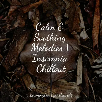 Calm & Soothing Melodies | Insomnia Chillout by Sleep Tight