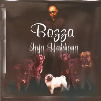 Inja Yakhona by Bozza