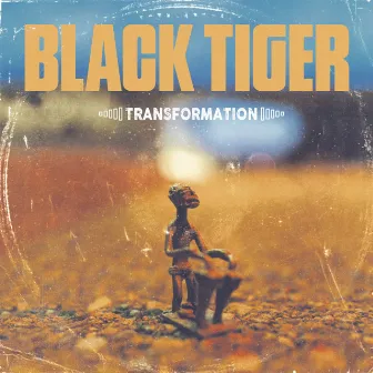 Transformation by Black Tiger