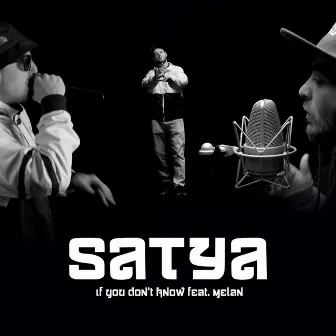 If You Don't Know by Satya