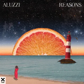 Reasons by Aluzzi