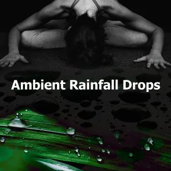 Ambient Rainfall Drops by Rainfall Meditations