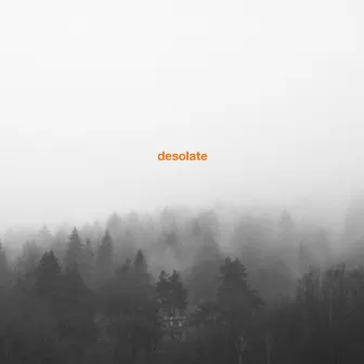 Exceptionalism by Desolate