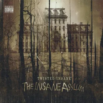 The Insane Asylum by Twisted Insane