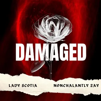 Damaged by Lady Scotia