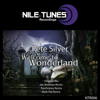 Welcome To Wonderland by Pete Silver