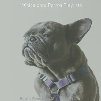 Perros Evocativa Musica de Fondo by Música para Perros Playlists