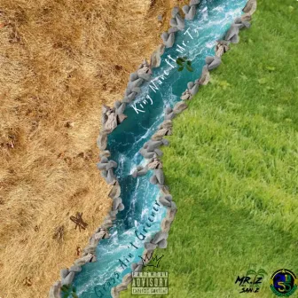 Grass Ain't Greener by King Nane