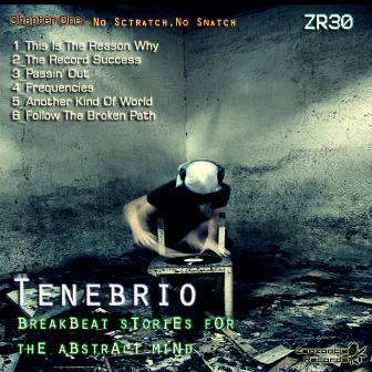 Breakbeat Stories For The Abstract Mind - Chapter One - No Scratch, No Snatch by Tenebrio