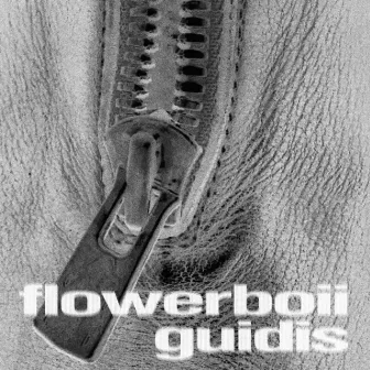 Guidis by flowerboii