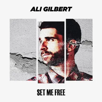 Set Me Free by Ali Gilbert