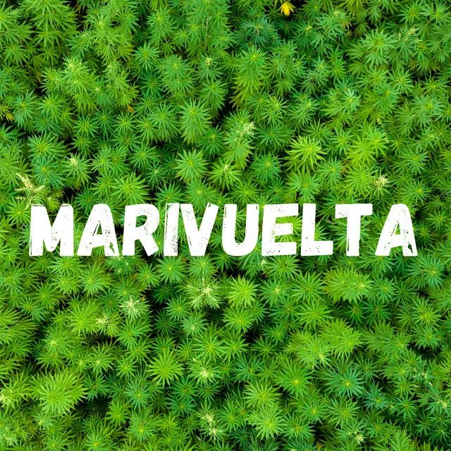 MARIVUELTA