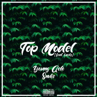 Top Model (feat. $acks) by Young Gelo