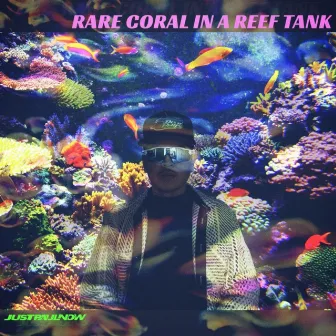 Rare Coral In A Reef Tank by Justpaulnow