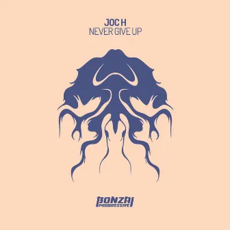 Never Give Up by JoC H