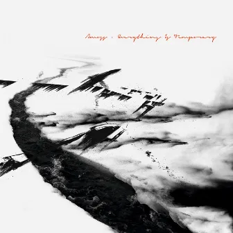 Everything Is Temporary by Amoss