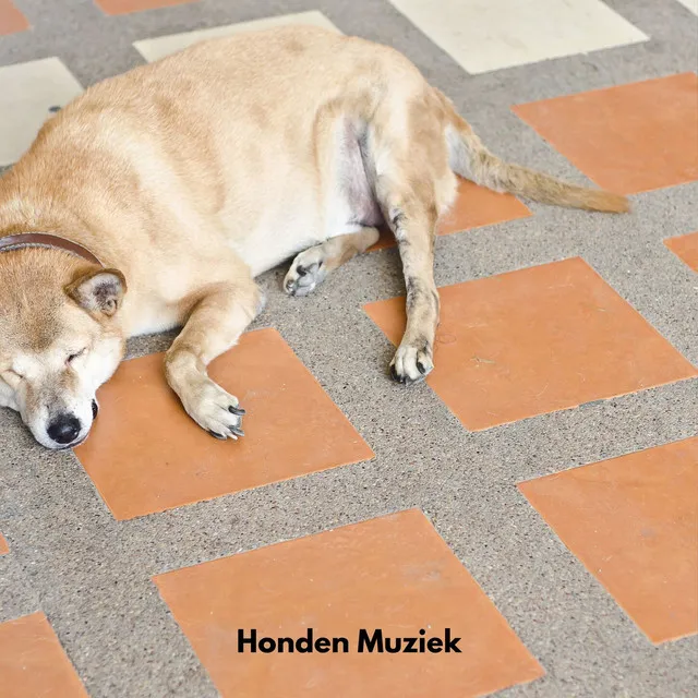 Honden Muziek