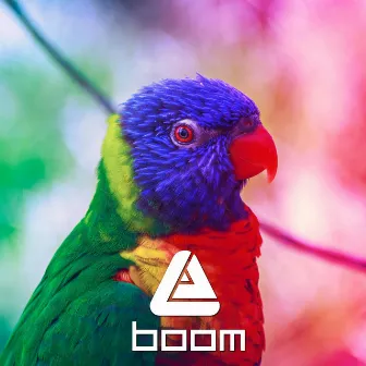 Boom by Alvo Lorem