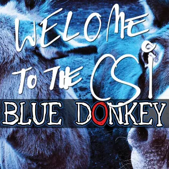 Welcome to the CSI by Blue Donkey