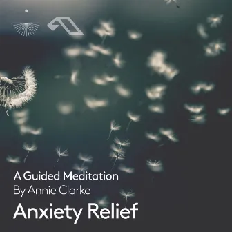 Anxiety Relief: A Guided Meditation by 