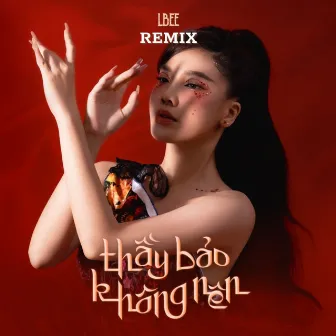 Thầy Bảo Không Nên (AM Remix) by DJ AM