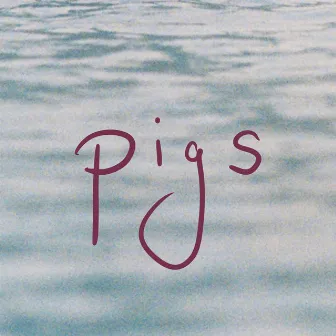 Pigs by Olmo