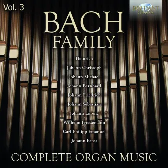 Bach Family: Complete Organ Music, Vol. 3 by Stefano Molardi