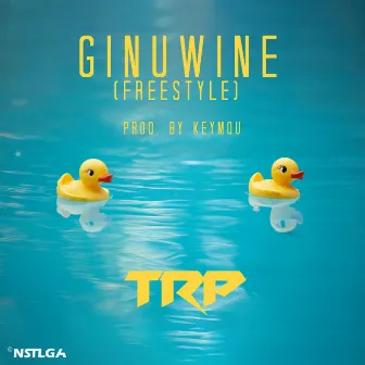 Ginuwine (Freestyle) by TRP Don Gy