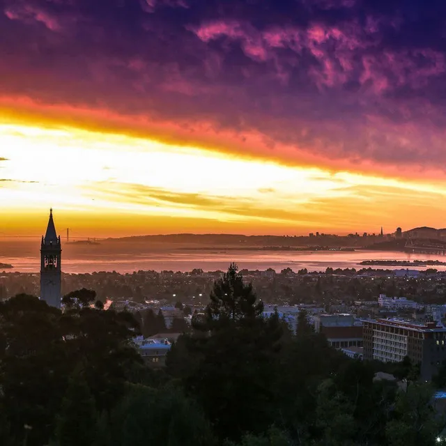 Berkeley Dorks