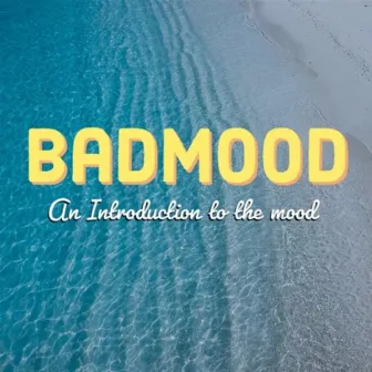 An Introduction to the Mood by Badmood