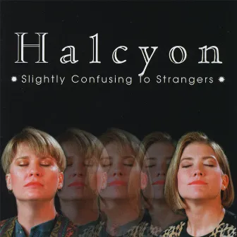 Slightly Confusing To Strangers by Halcyon