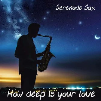 How Deep Is Your Love by Serenade Sax