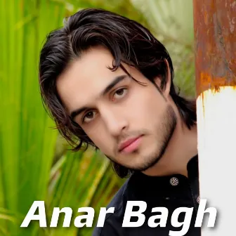 Anar Bagh by Baktash Angar