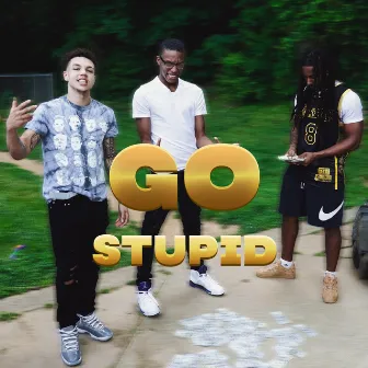 Go Stupid by DTG Trizzy