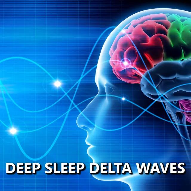 Deep Sleep Delta Waves