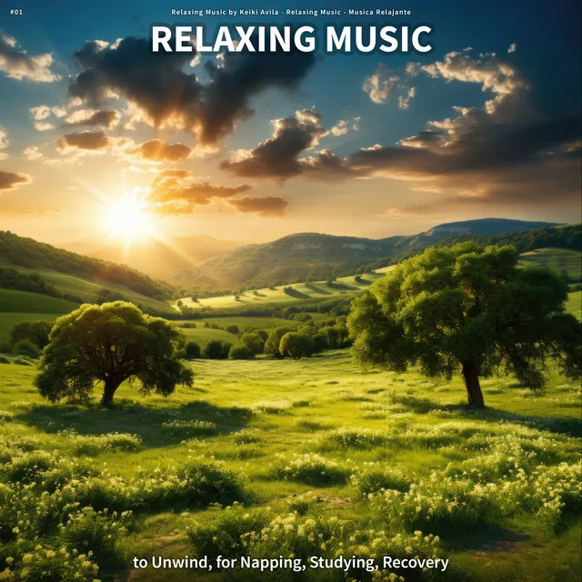 #01 Relaxing Music to Unwind, for Napping, Studying, Recovery