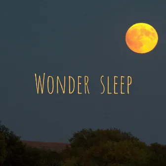 Wonder Sleep by Decidic FX